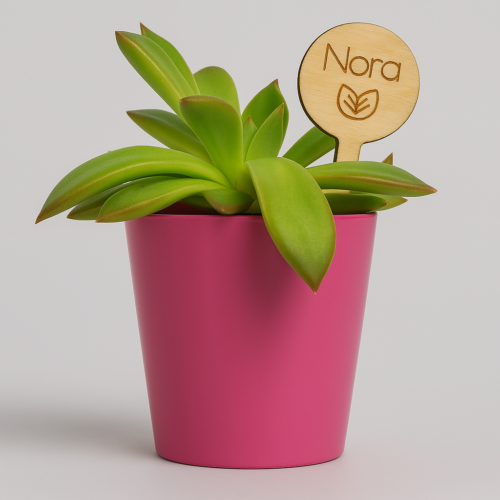 personalized-plant-label