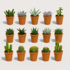 Cactus & Vetplanten Mix