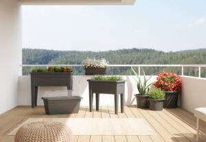 Planten Decoratie