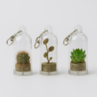 Sleutelhanger – Mini Cactus & Vetplant