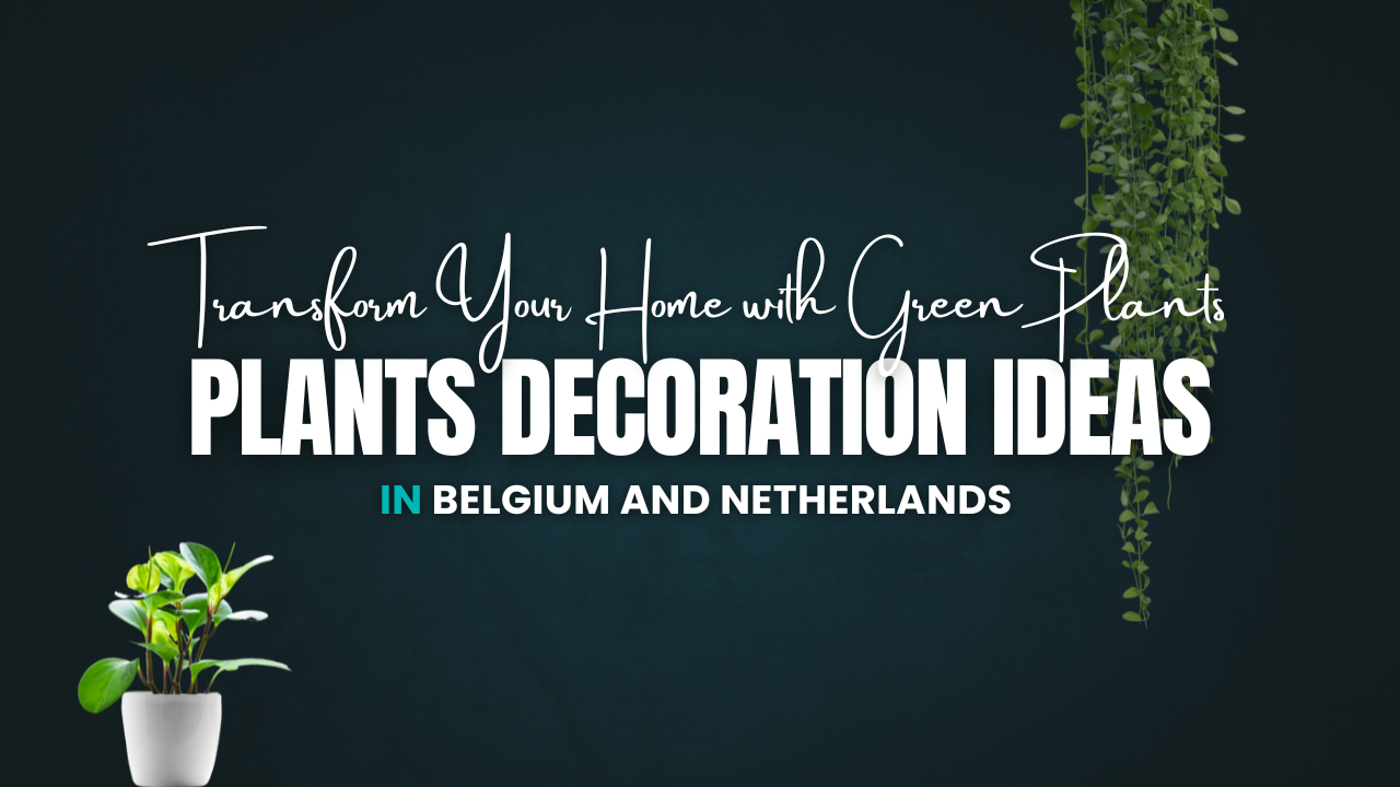 Plants Decoration Ideas: Transform Your Home with Green Plants