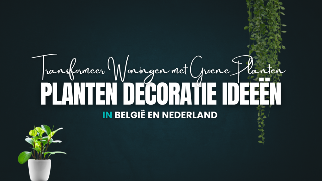 Planten Decoratie