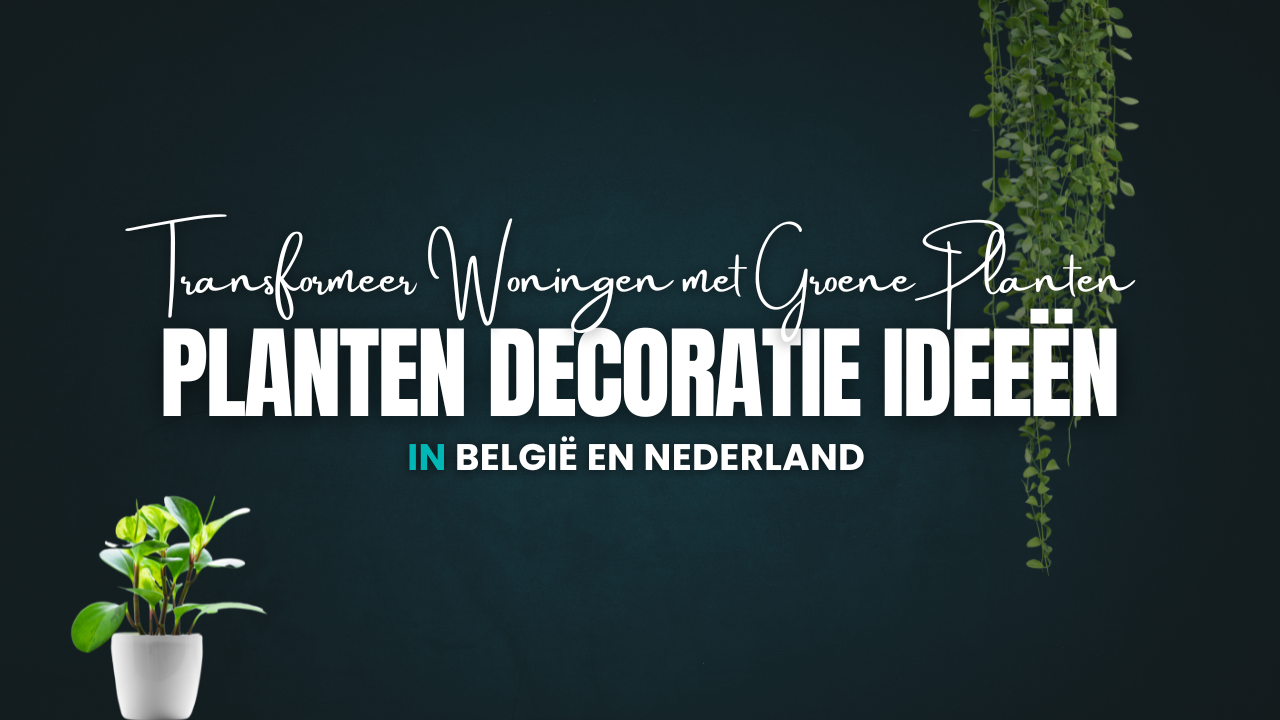 Planten Decoratie Ideeën: Transformeer Woningen met Groene Planten
