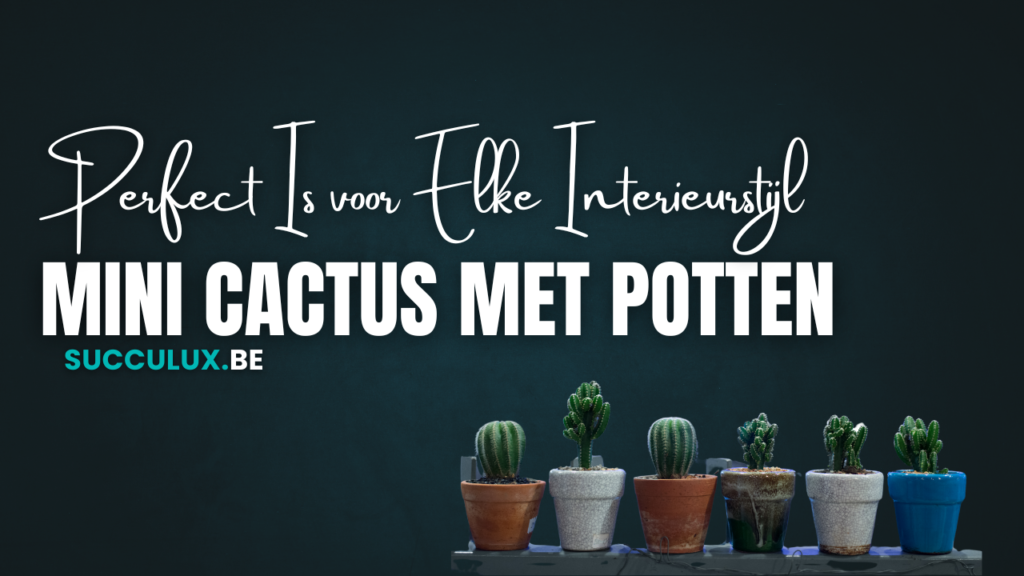 Mini Cactus