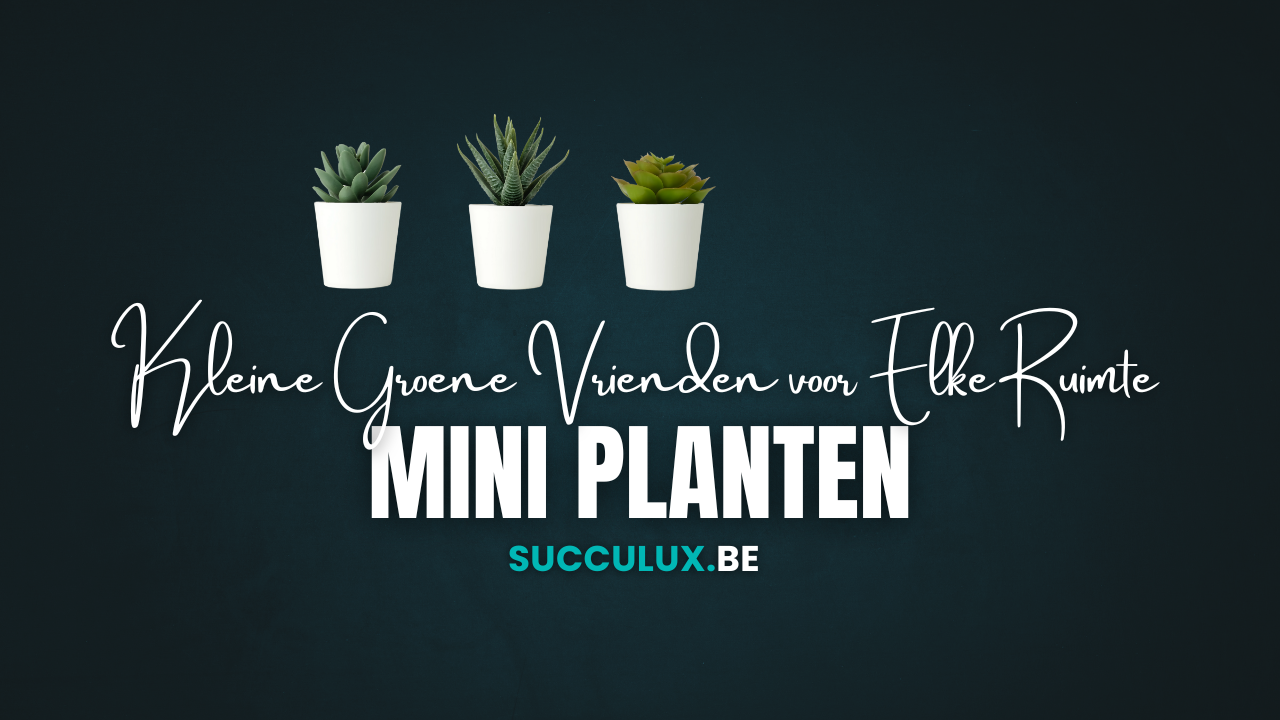 Mini Planten: Kleine Groene Vrienden voor Elke Ruimte