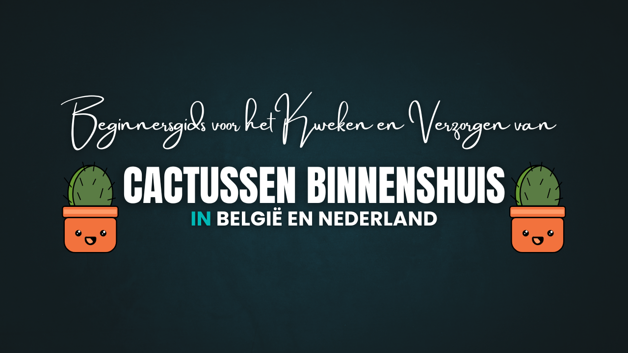 Beginnersgids voor het Kweken en Verzorgen van Cactussen Binnenshuis