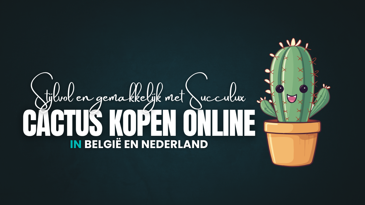 Cactus kopen online in België en Nederland – Stijlvol en gemakkelijk met Succulux