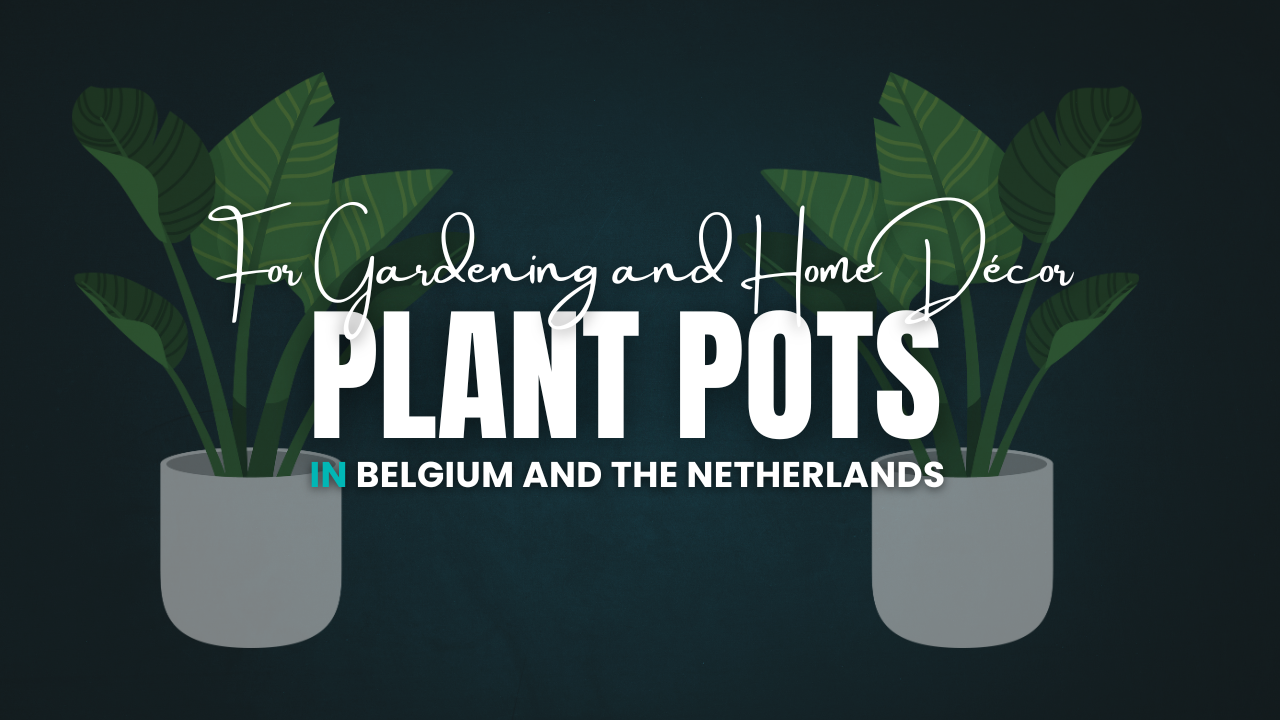 Plant Pots for Gardening and Home Décor in Belgium and the Netherlands