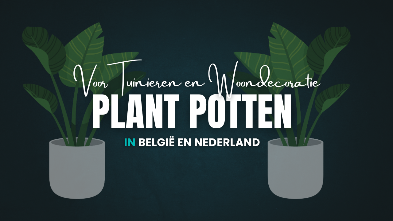 Plant potten voor Tuinieren en Woondecoratie in België en Nederland