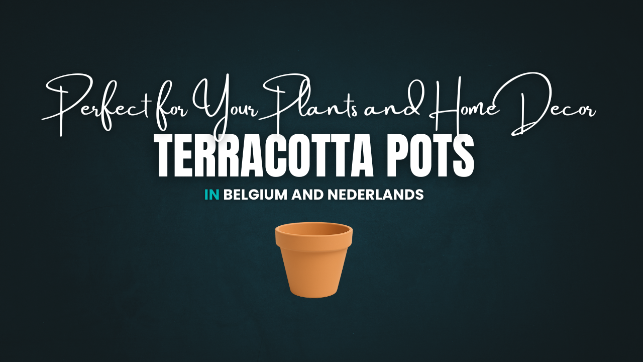 Why Terracotta Pots Are Perfect for Your Plants and Home Decor