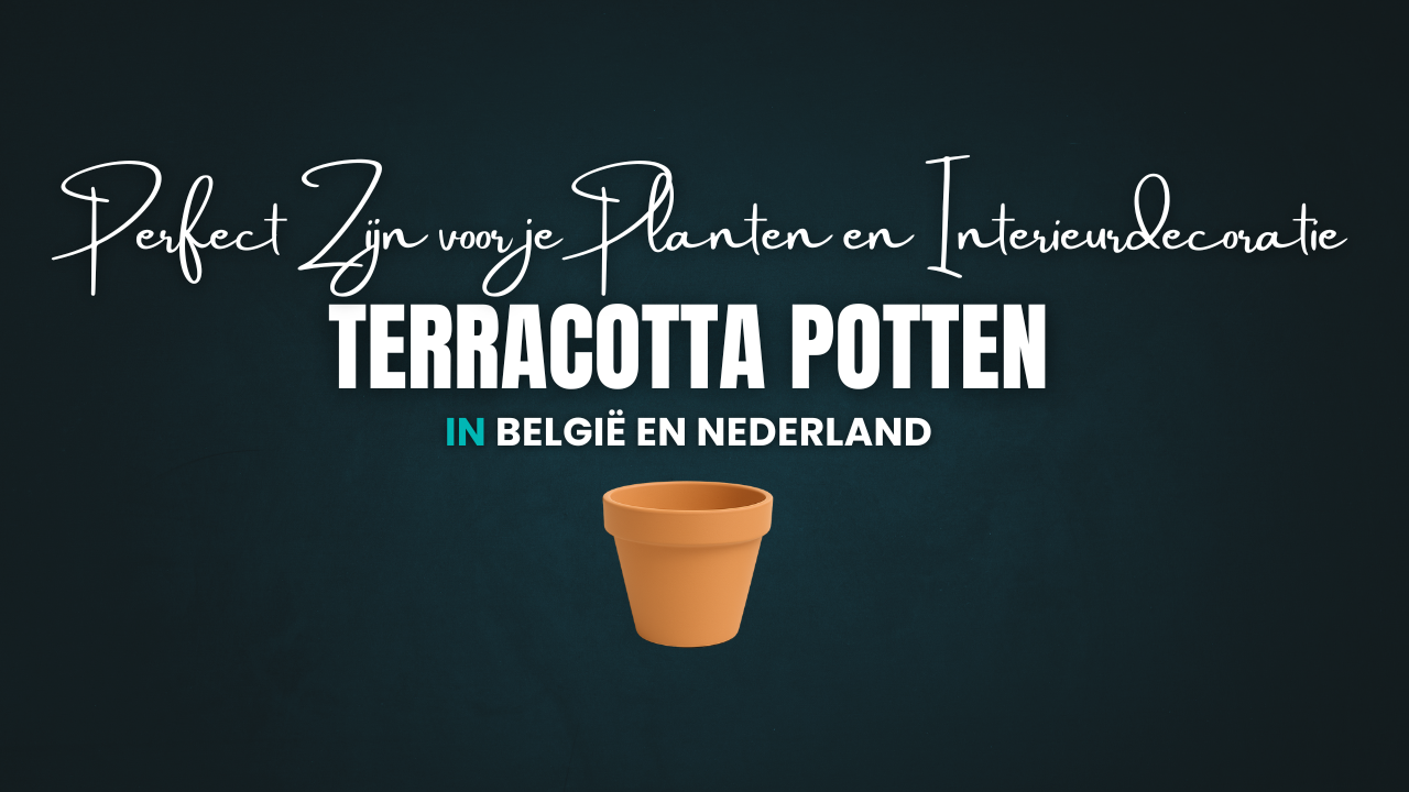 Waarom Terracotta Potten Perfect Zijn voor je Planten en Interieurdecoratie