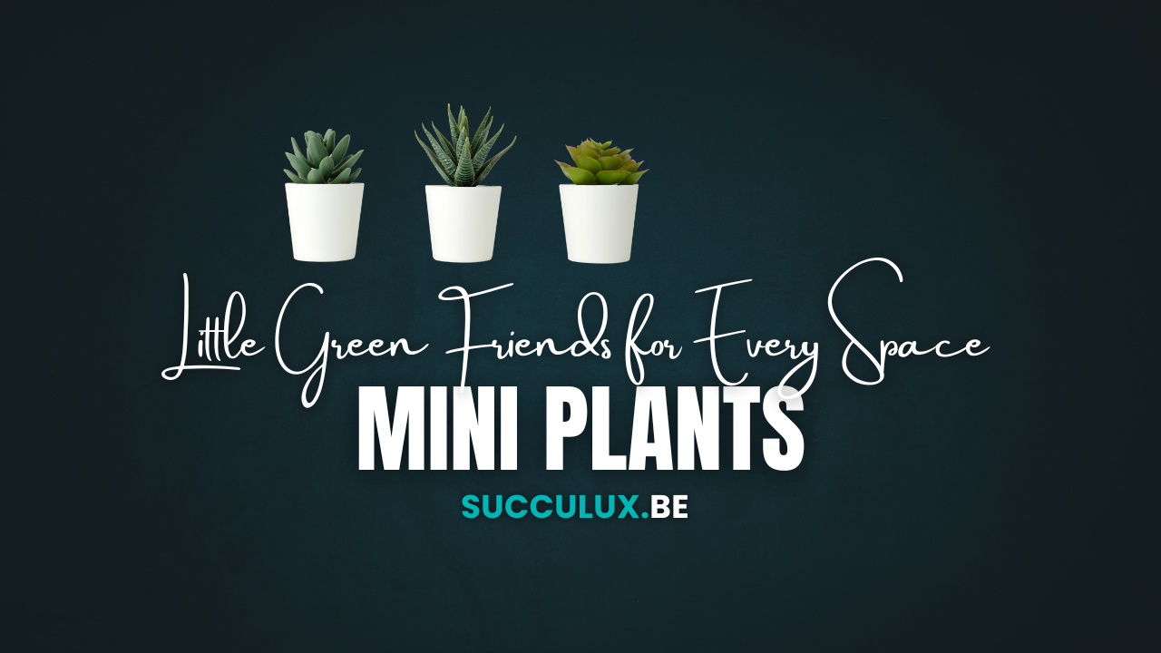 Mini Plants: Little Green Friends for Every Space