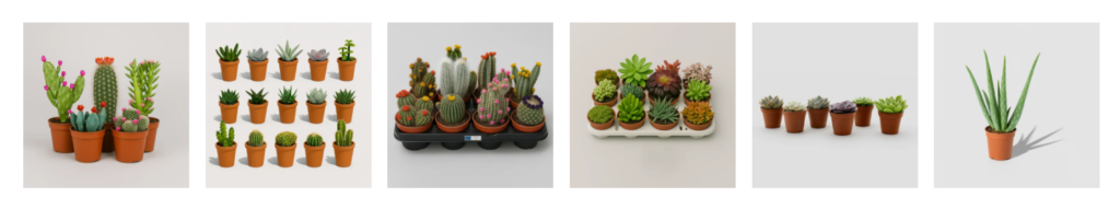 order plants online