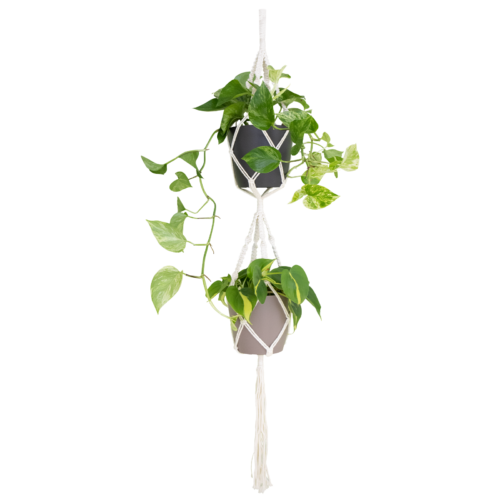 double-macrame-plant-hanger