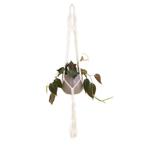 macrame-plant-hanger