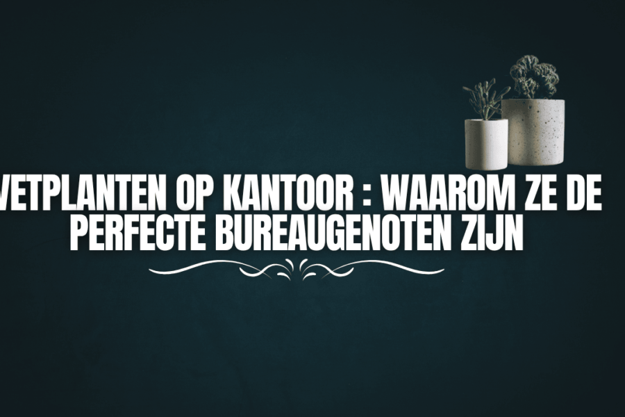 vetplanten op kantoor
