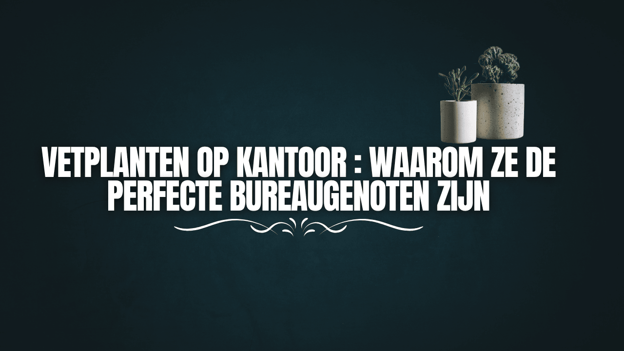 Vetplanten op kantoor: waarom ze de perfecte bureaugenoten zijn