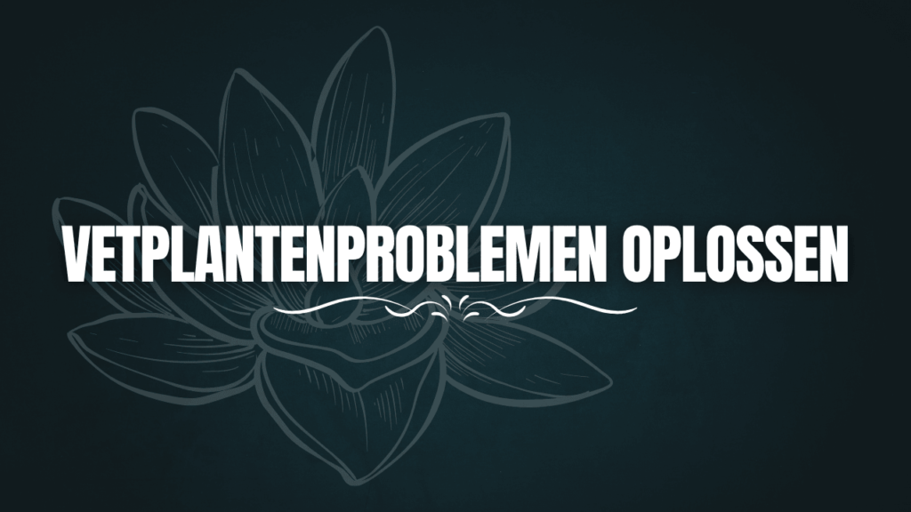 Vetplantenproblemen oplossen
