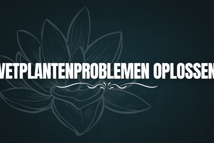Vetplantenproblemen oplossen