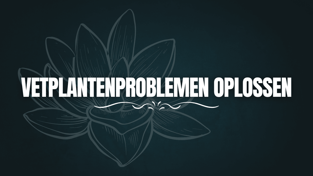 Vetplantenproblemen oplossen