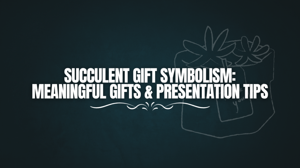 Succulent gift symbolism