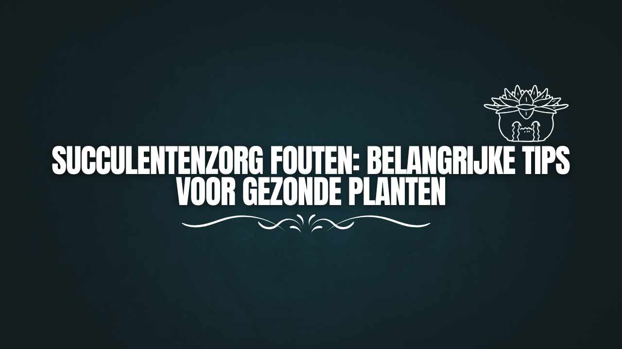 Succulentenzorg Fouten: Belangrijke Tips voor Gezonde Planten