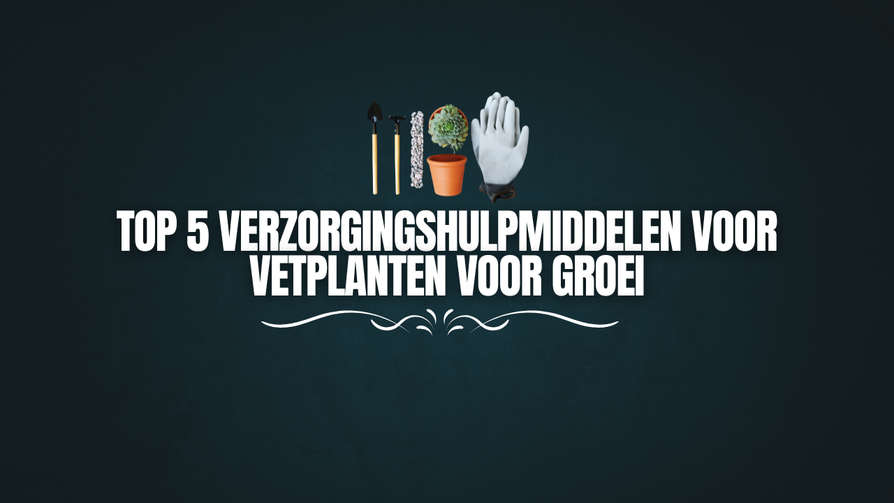 Top 5 Verzorgingshulpmiddelen voor Vetplanten voor Groei