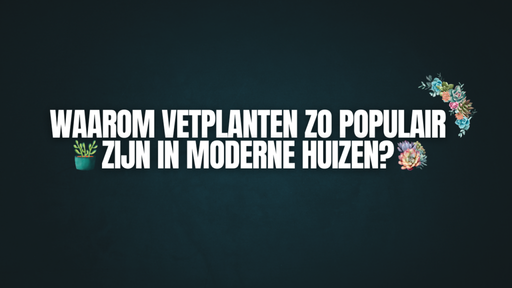 Waarom vetplanten zo populair zijn in moderne huizen