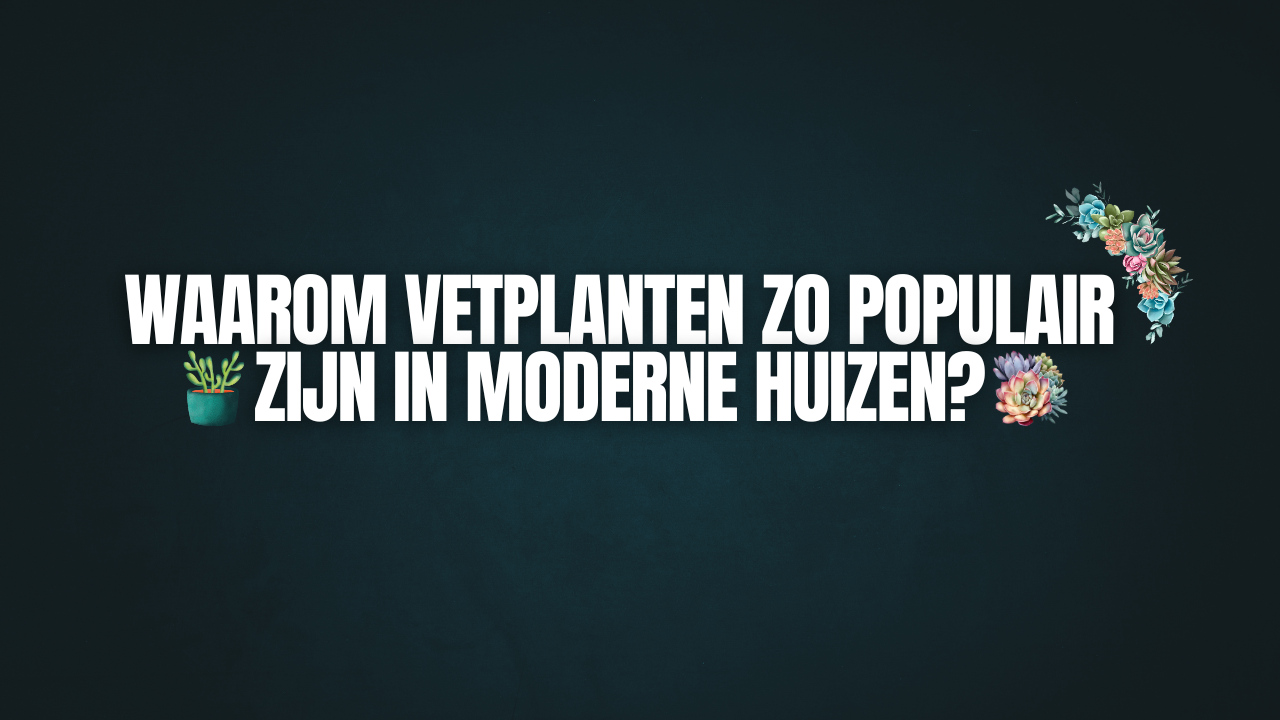 Waarom vetplanten zo populair zijn in moderne huizen