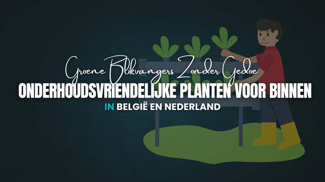 Onderhoudsvriendelijke Planten voor Binnen | Groene Blikvangers Zonder Gedoe