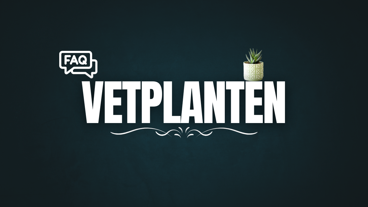 Vetplanten FAQ : Antwoorden op de Meest Gestelde Vragen