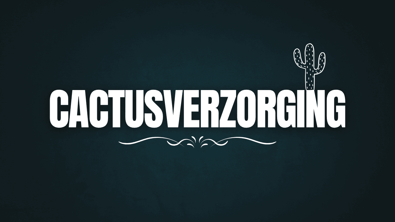 Cactusverzorging & Onderhoud