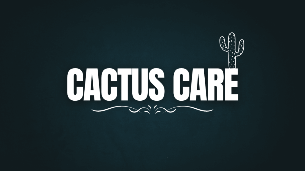 Cactus Care