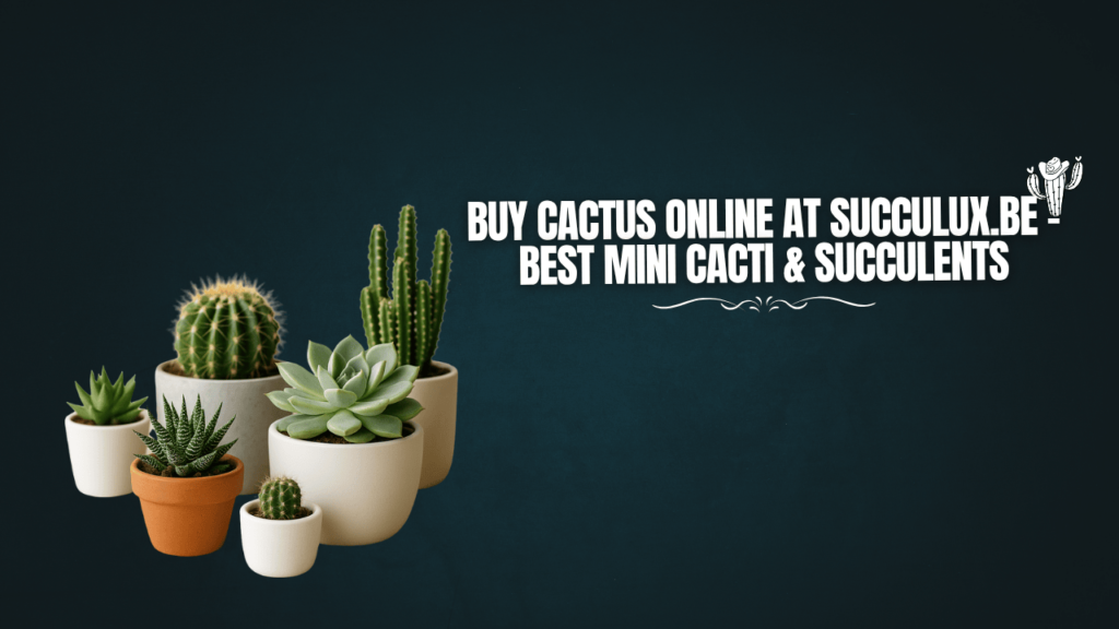 Buy Cactus Online