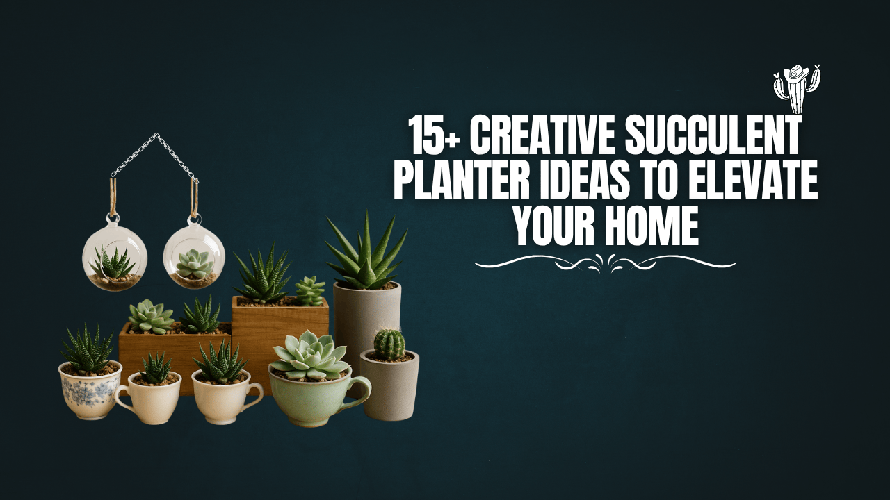 15+ Creative Succulent Planter Ideas to Elevate Your home