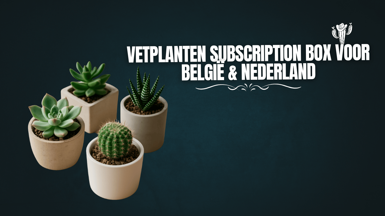 Vetplanten subscription box voor België & Nederland