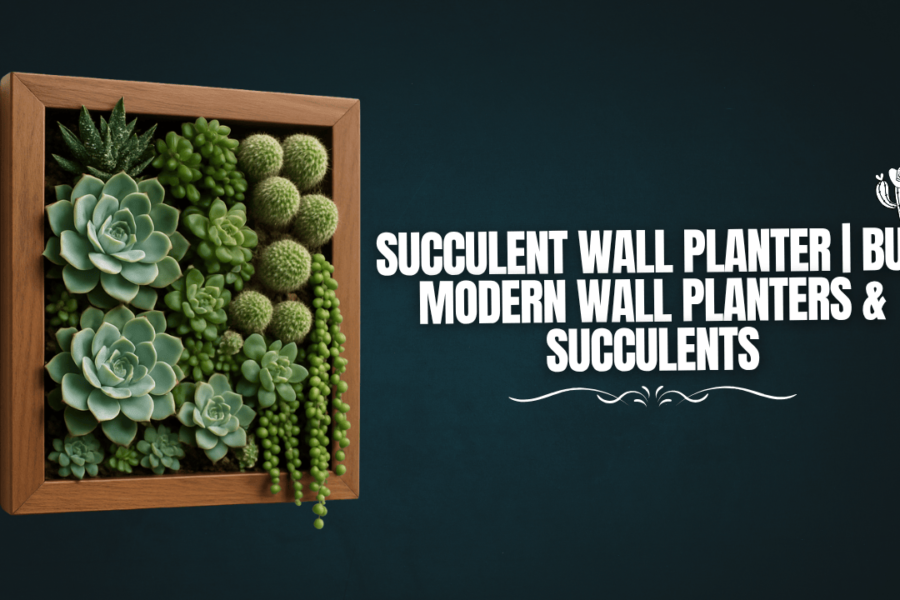 Succulent Wall Planter