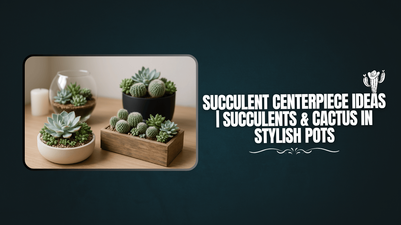 Succulent Centerpiece Ideas | Succulents & Cactus in Stylish Pots