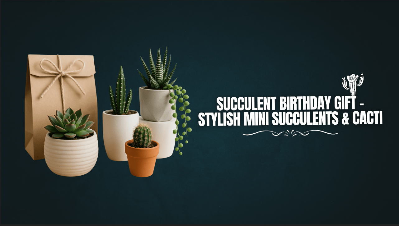 Succulent Birthday Gift – Stylish Mini Succulents & Cacti