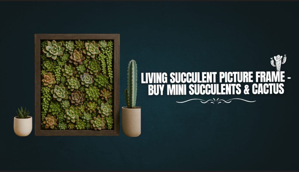 living succulent picture frame