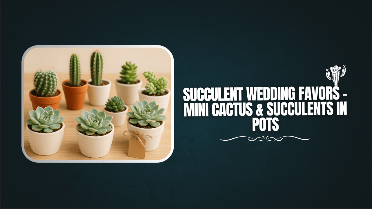 Succulent Wedding Favors – Mini Cactus & Succulents in Pots