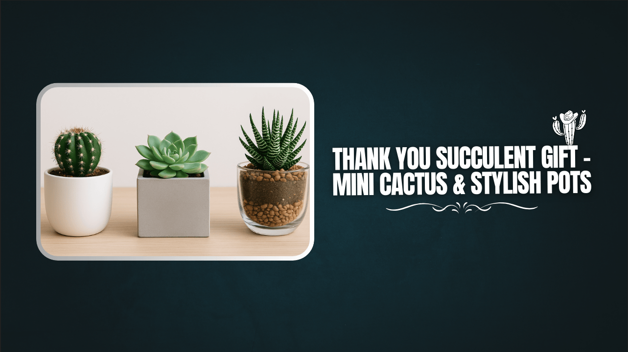 Thank You Succulent Gift – Mini Cactus & Stylish Pots