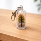 cactus sleutelhanger