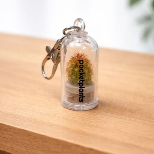 cactus sleutelhanger