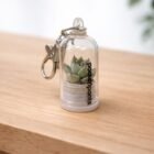 sleutelhanger met succulent