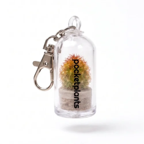 keychain with live plant